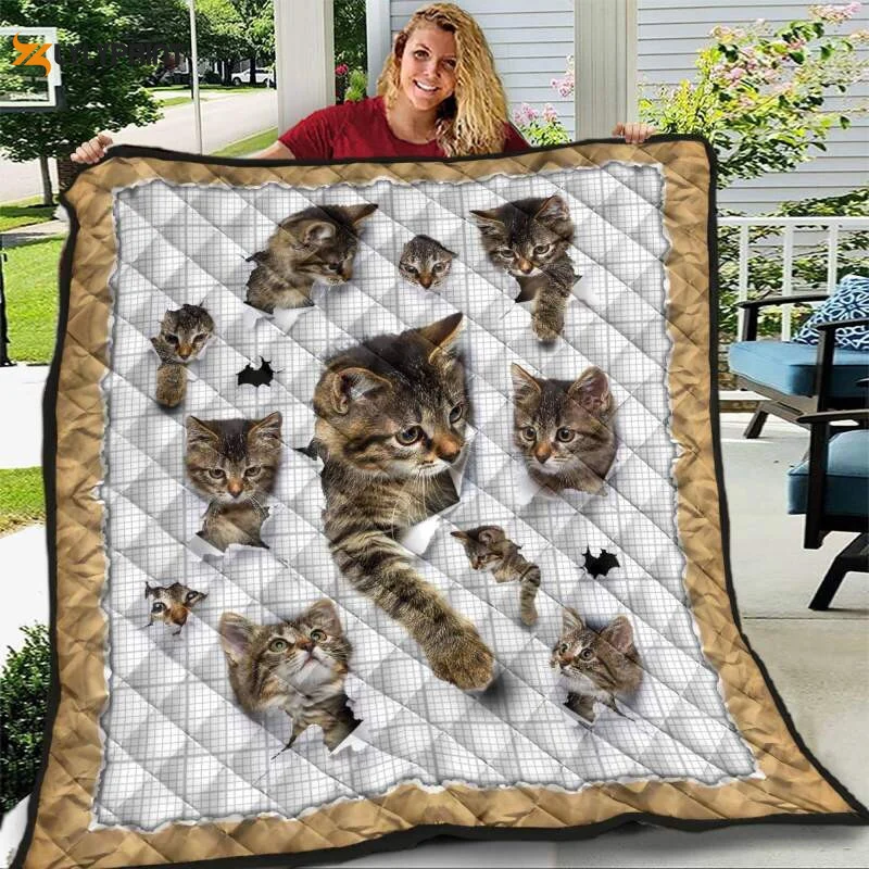 Cat Funny 3D Customized Quilt ,  Soft Quilt, King Size, All Season Cozy Quilt QB0901